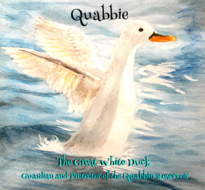 quabbie cover